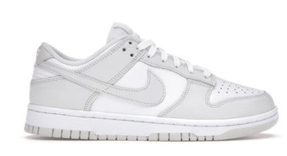 Nike Dunk Low Photon Dust 2021 Iconic Sneaker