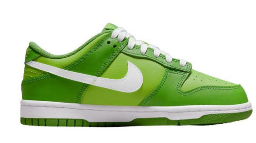 Nike DUNK LOW ‘CHLOROPHYLL’ Unfading Sneaker