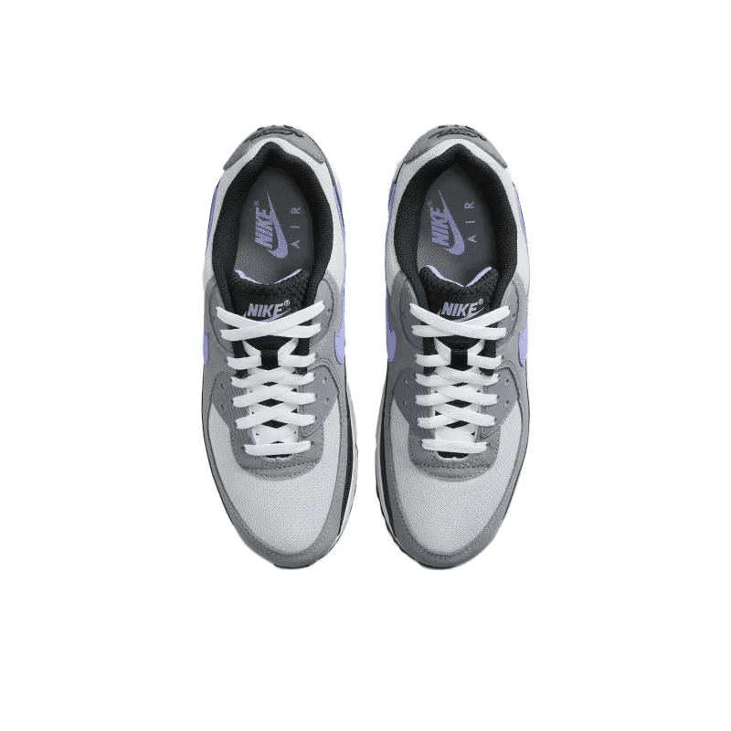 Air Max 90 Photon Dust Light Thistle – Dm0029-014