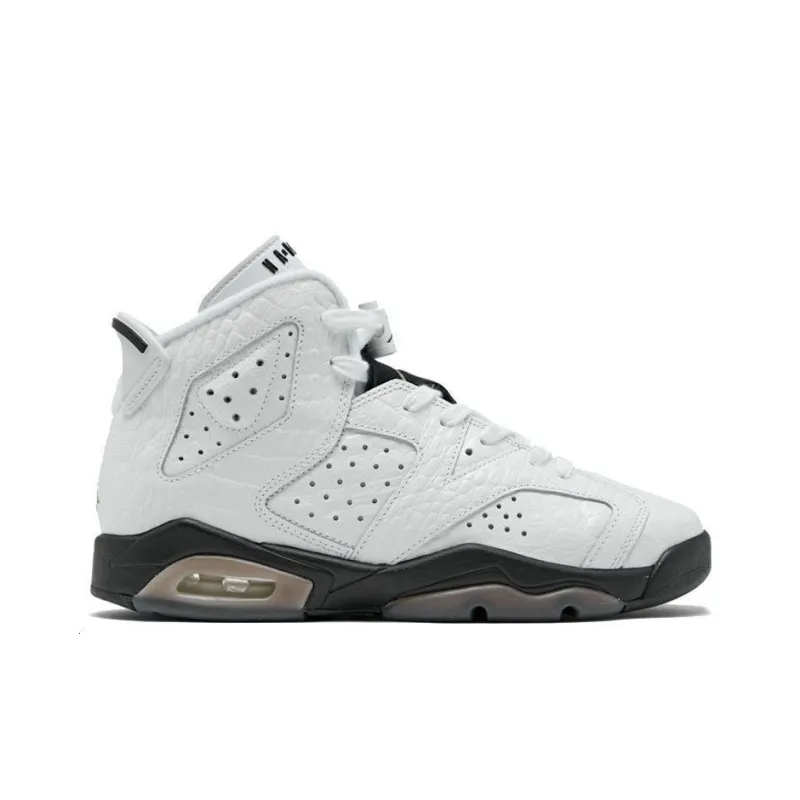 Air Jordan 6 Retro Alligator GS – 384665-110