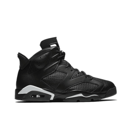 Air Jordan 6 Retro Black Cat – 384664-020