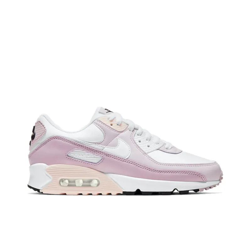 Air Max 90 Light Violet Champagne – Cv8819-100