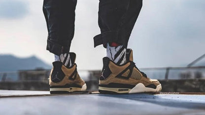 Air Jordan 4 Retro ‘Mushroom’ AQ9129-200