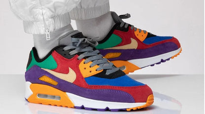 Air Max 90 Viotech Multi CD0917-600