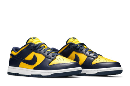 Dunk Low Michigan (2021) PR-258828