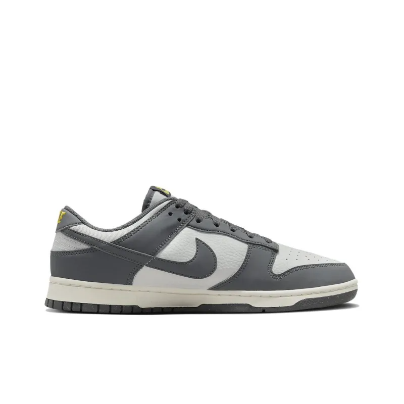 Dunk Low Next Nature Iron Grey – Fz4621-001