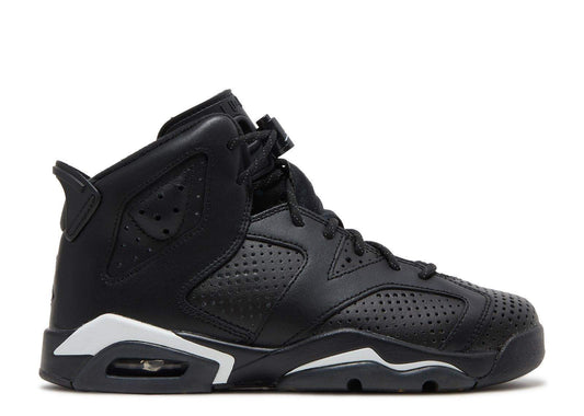 Air Jordan 6 Retro GS Black Cat Everlasting Sneaker