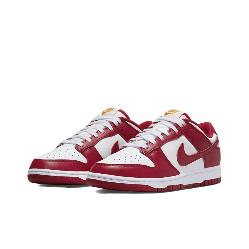 DUNK LOW RETRO USC – DD1391-602